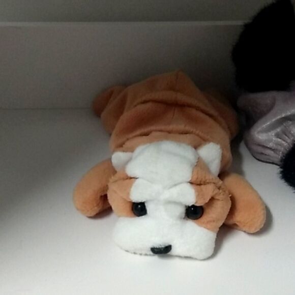 Ty dog named wrinkles  - Picture 1 of 1